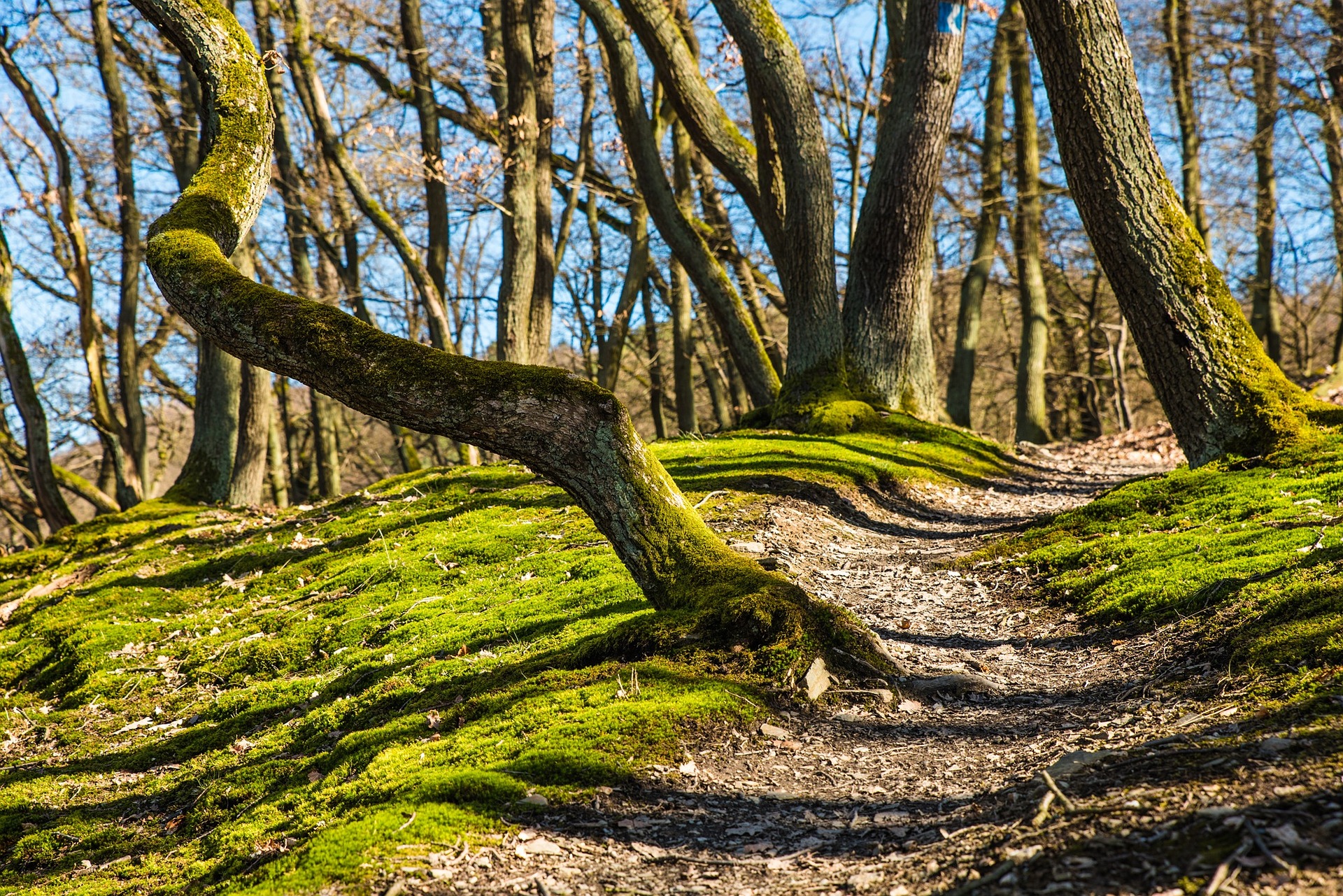 hilly-path
