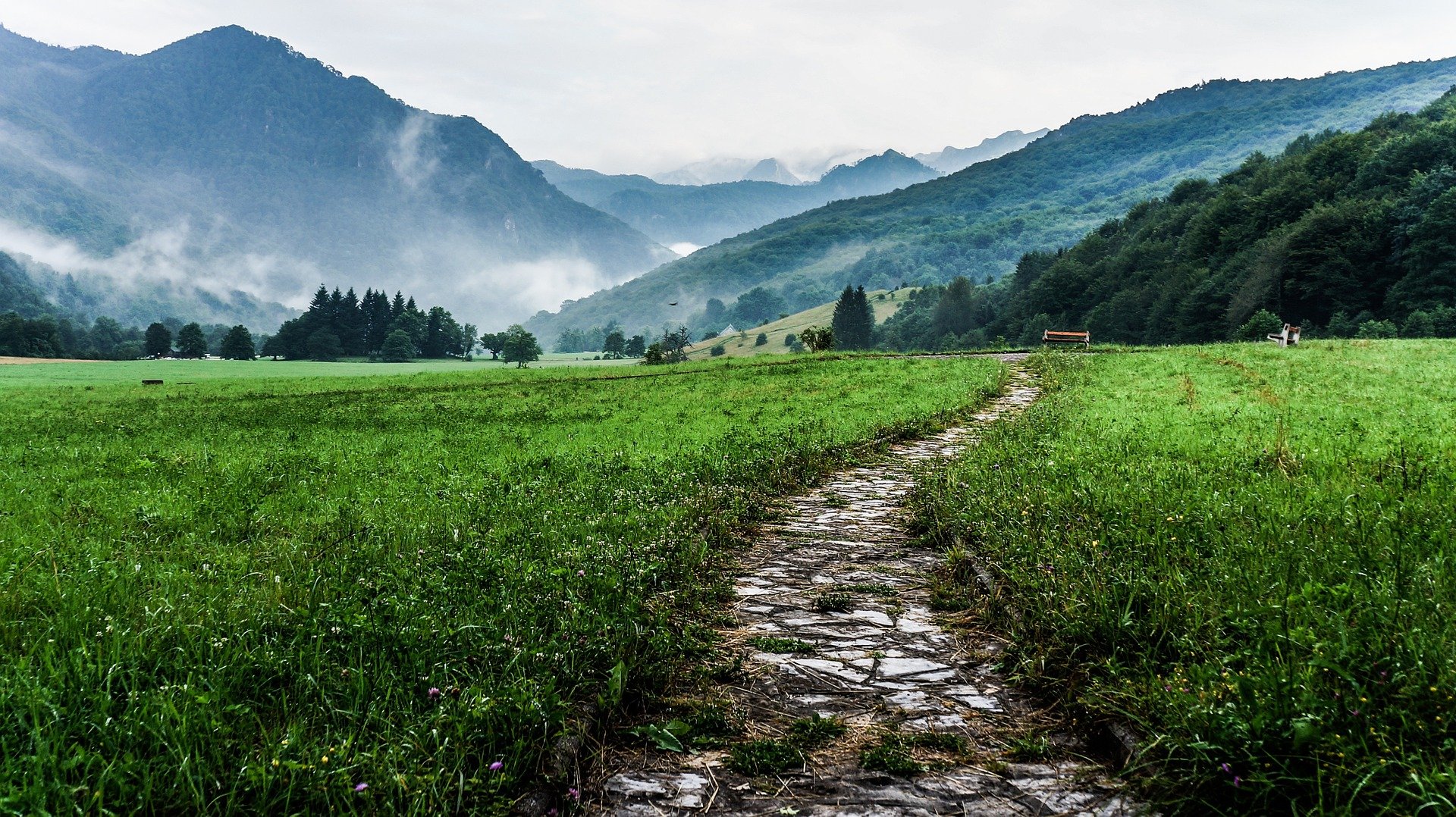 mountain-path